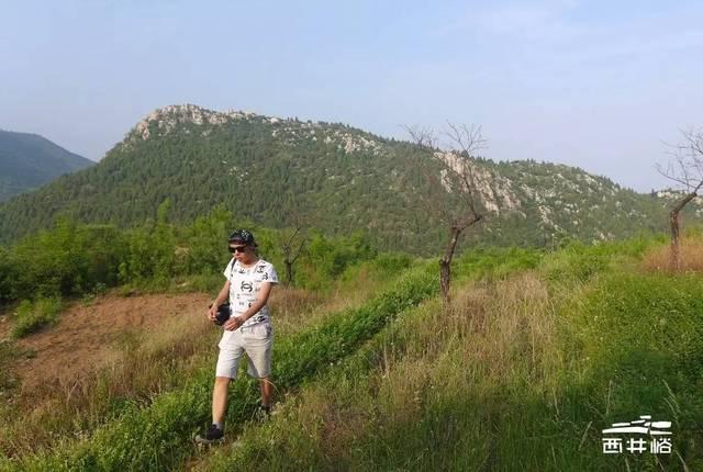 最新成果!洛阳伊川徐阳墓地又发现车马坑